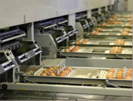 高速流媒體相機PROMON, 高速流相機代理, 適用于工業過程分析的相機 高速流媒體相機PROMON, 高速流相機代理, 適用于工業過程分析的相機