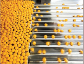 高速流媒體相機PROMON, 高速流相機代理, 適用于工業過程分析的相機 高速流媒體相機PROMON, 高速流相機代理, 適用于工業過程分析的相機